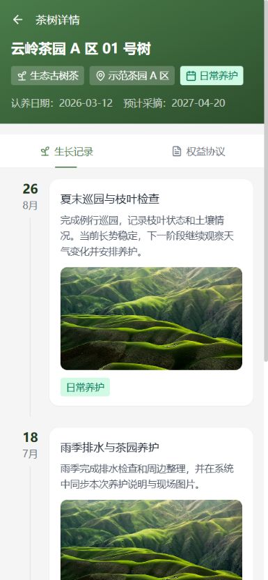 认养人查看专属茶树档案和图文成长记录时间线